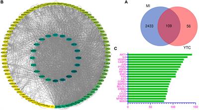 An Integrated Approach Based on Network Analysis Combined With Experimental Verification Reveals PI3K/Akt/Nrf2 Signaling Is an Important Way for the Anti-Myocardial Ischemia Activity of Yi-Qi-Tong-Luo Capsule